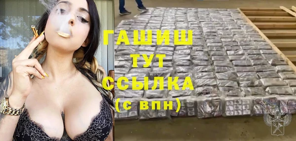 гашик Балахна