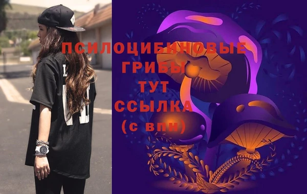 гашик Балахна