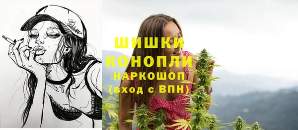 гашик Балахна