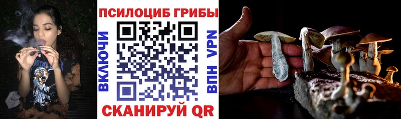 Галлюциногенные грибы мухоморы  что такое наркотик  Тырныауз 